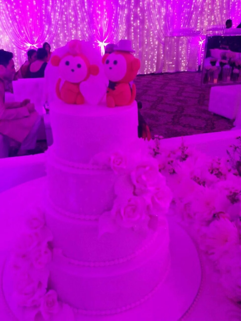 The cake topped with two little monkeys!